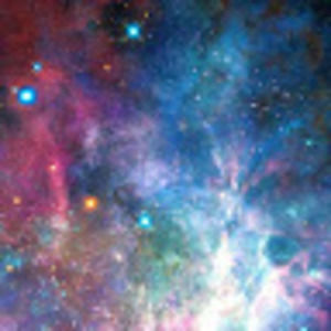 Meet your Posher, Rowan